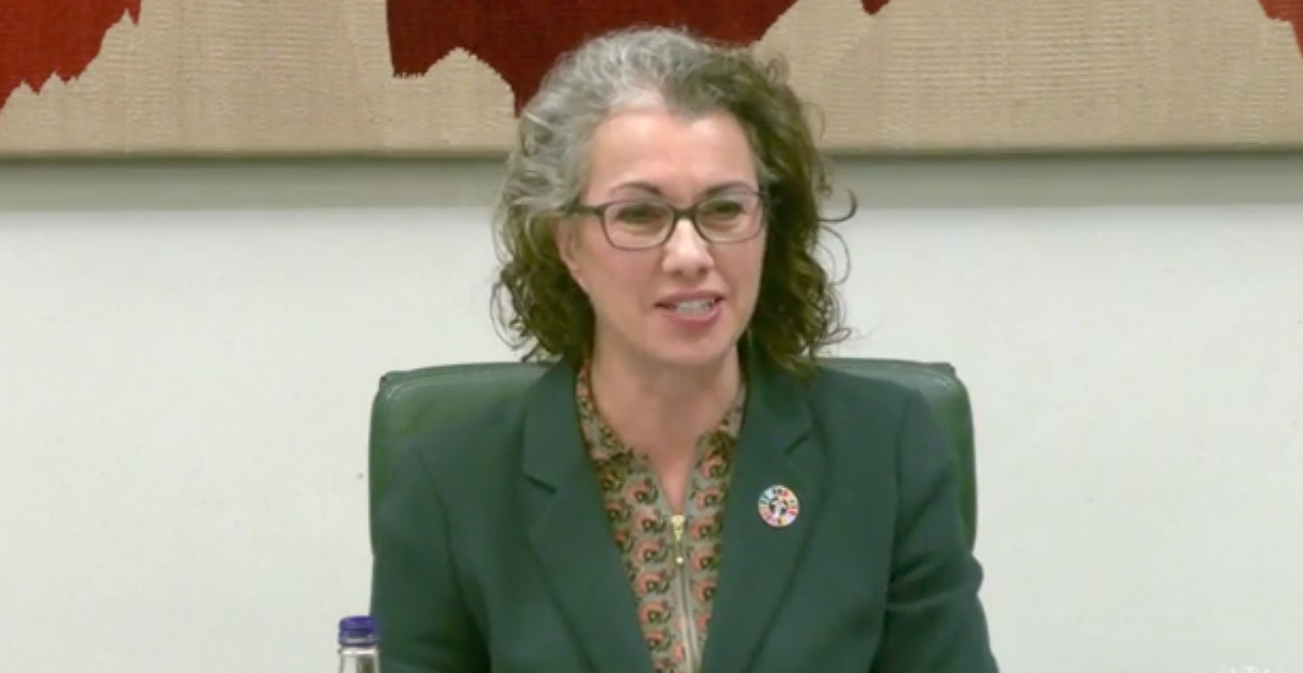 “Alarming” FCDO cuts criticised in IDC evidence session